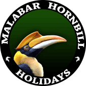 Malabar Hornbill Holidays
